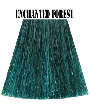Enchanted Forest